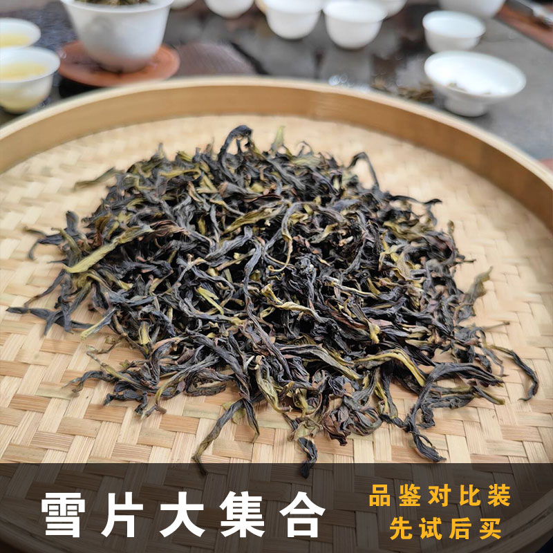 奶香雪片上市新茶试喝品鉴雪片鸭屎香单丛茶大乌叶高香凤凰单枞茶