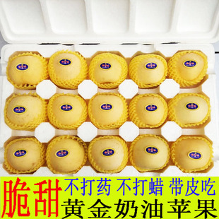 包邮 山东烟台黄金奶油富士苹果水果新鲜当季 脆甜冰糖心牛奶果10斤