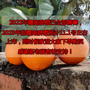 【2026年赣南脐橙11月1号左右上市】寻乌橙子