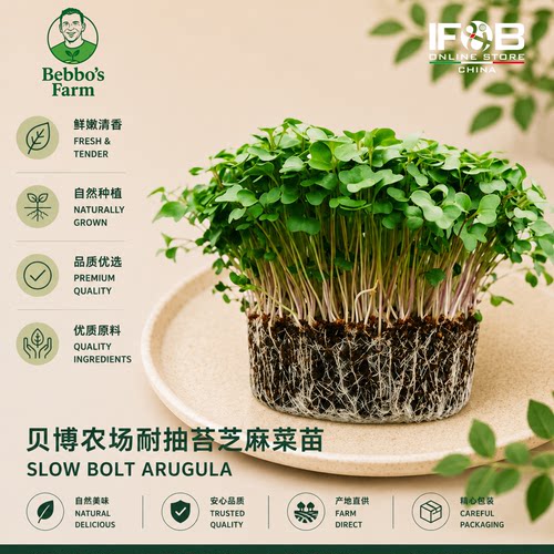贝博农场耐抽苔芝麻菜苗 30g Slow Bolt Arugula