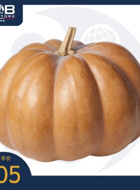 贝博农场麝香南瓜 8-10kg Bebbo's Farm Muscat Pumpkin