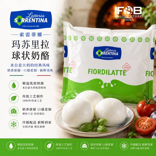 Latteria Sorrentina 马苏里拉球状奶酪 500g Mozzarella