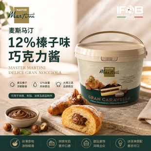 麦斯马汀12%榛子味巧克力酱1kg MasterMartiniDeliceGranNocciola