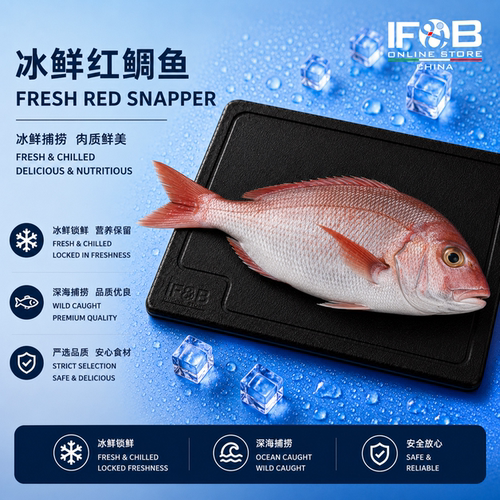 冰鲜红鲷鱼 1.5-2.5kg Fresh Red Snapper