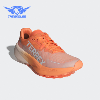 Adidas/阿迪达斯正品 AGRAVIC 3 女士户外越野跑步鞋IG6582