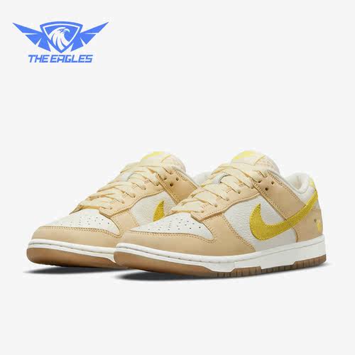 Nike/耐克正品Dunk新款女子运动轻便百搭低帮板鞋DJ6902-700