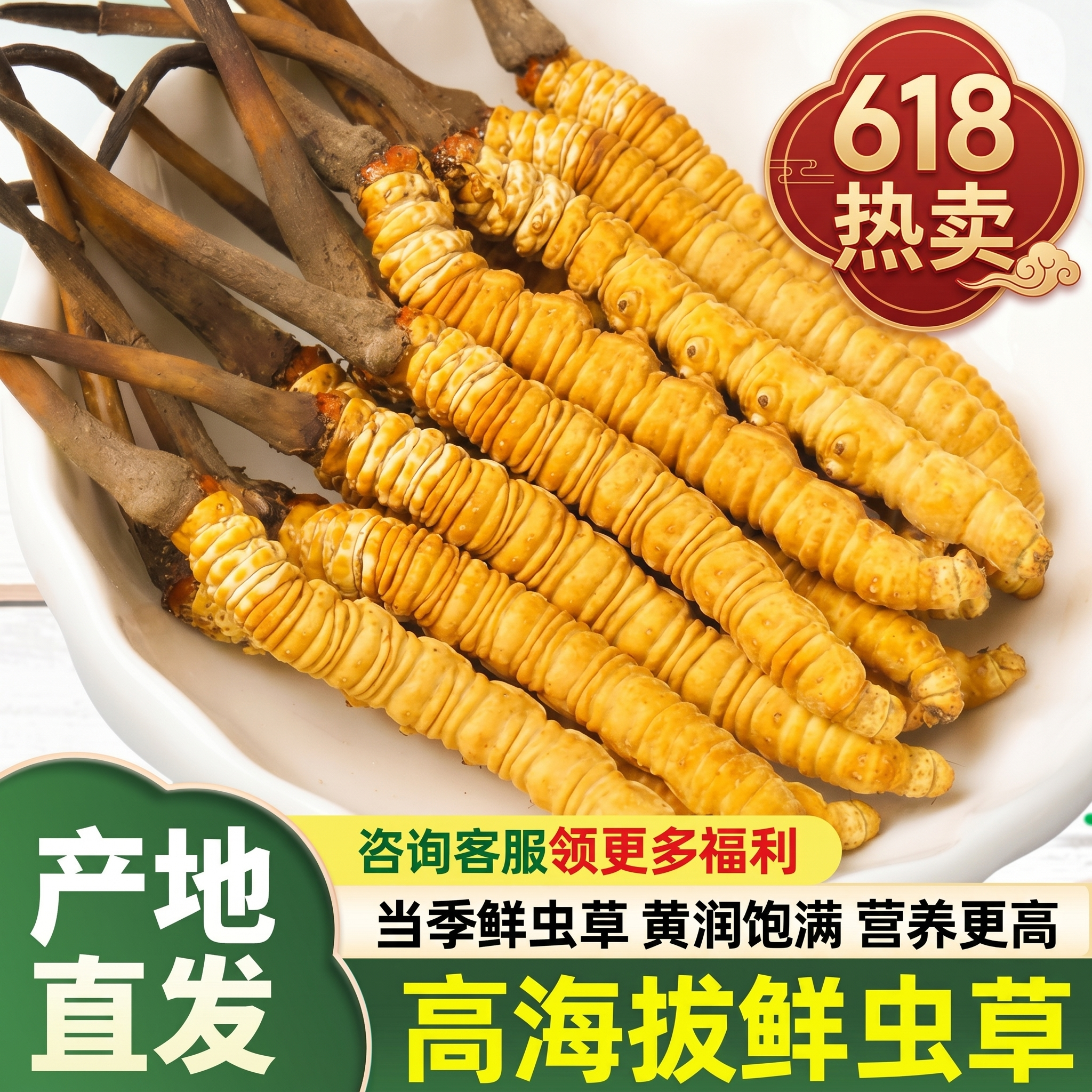 正品那曲头期草新鲜冬虫夏草西藏虫草0.8克/根鲜虫草旗舰店礼盒装