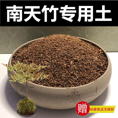 营养土专用土颗粒土种植土南天竹