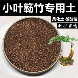 小叶簕竹土种勒竹土乐竹子土风化土颗粒土红土酸性种生桩专用土