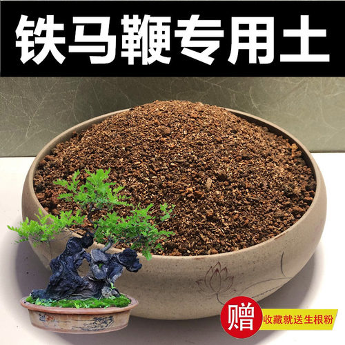 营养土专用土颗粒土赤玉土种植土