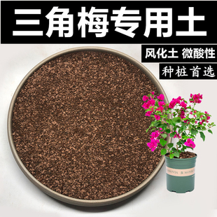 三角梅土专用土风化土颗粒土沙质红土酸性盆景土盆栽种植土营养土