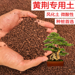 黄荆土专用土风化土颗粒土红土酸性土壤盆景土盆栽种植土营养土