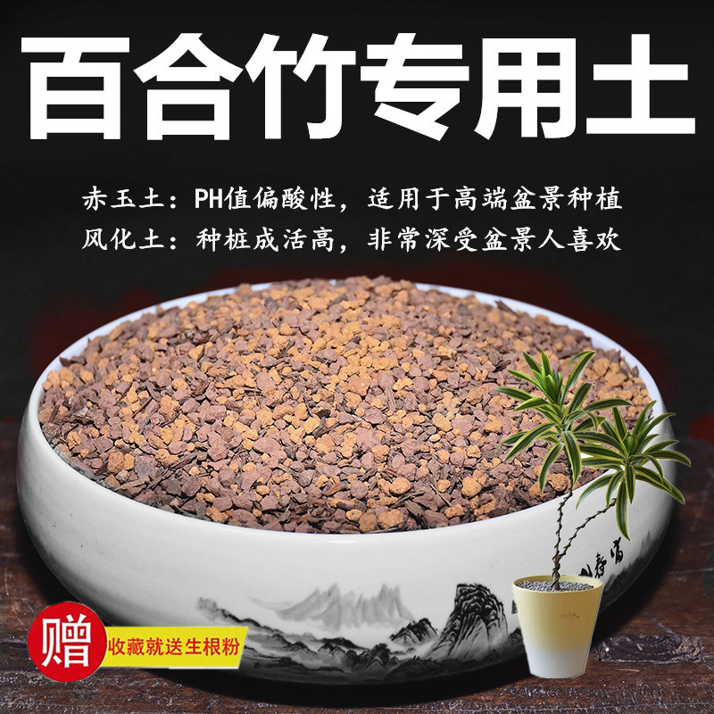 百合竹专用土赤玉土风化土颗粒土酸性土红土专用肥玉肥营养土图片