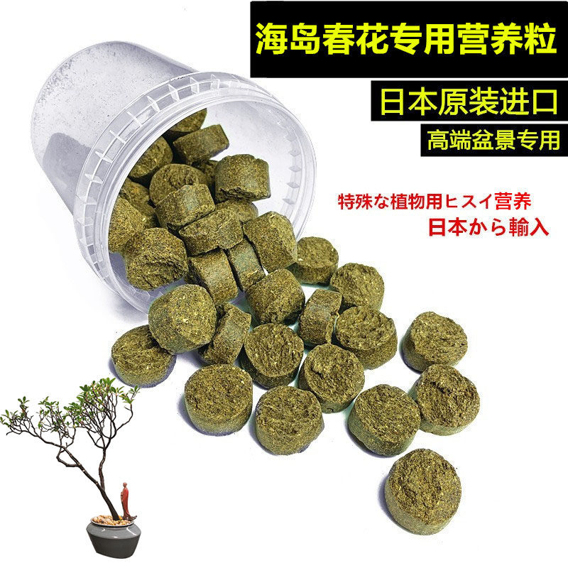 海岛春花专用营养土介粒日本原装进口长效有机缓释颗粒盆景花卉料,鲜花速递/花卉仿真/绿植园艺,家庭园艺肥料,淘宝优惠券,粉丝福利购,淘宝优惠卷