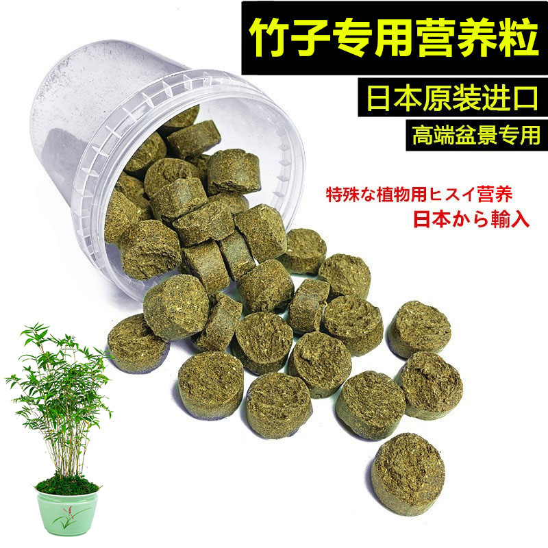 竹子专用营养介粒日本原装进口长效有机缓释增加盆景花卉营养土