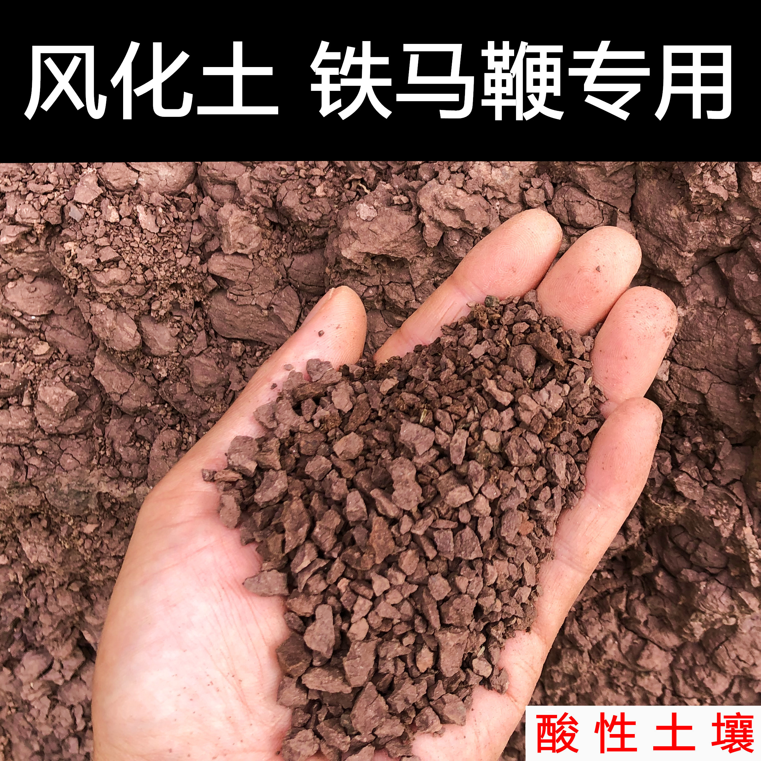 铁马鞭专用土盆景专用风化土风化石酸性土盆景土扦插土红土营养土