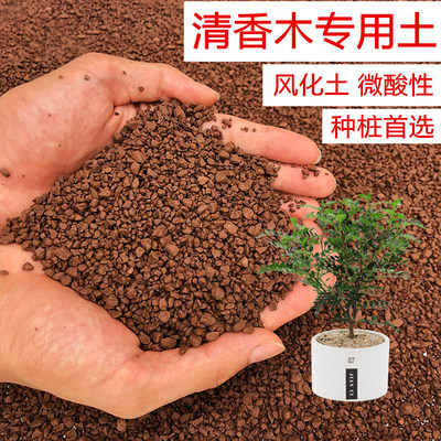 风化土专用土种植土营养土