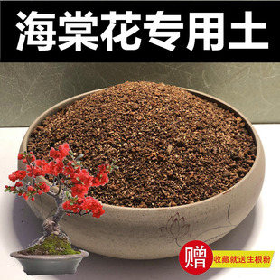 海棠花专用土营养土颗粒土种植土风化土红沙土酸性盆景土赤玉土