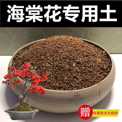 营养土专用土颗粒土赤玉土种植土