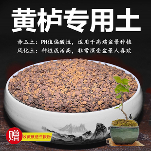 黄栌专用土赤玉土风化土风化石颗粒土酸性土红土专用肥玉肥营养土