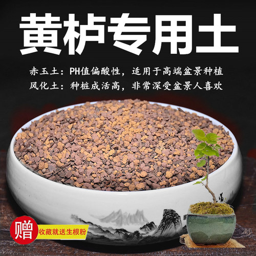 黄栌专用土赤玉土风化土