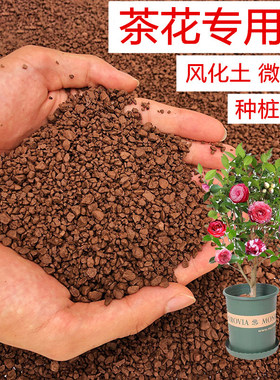 风化土专用土颗粒土种植土营养土