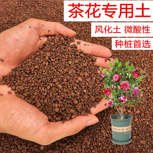 茶花土山茶专用土风化土颗粒土红土酸性土盆景土盆栽种植土营养土