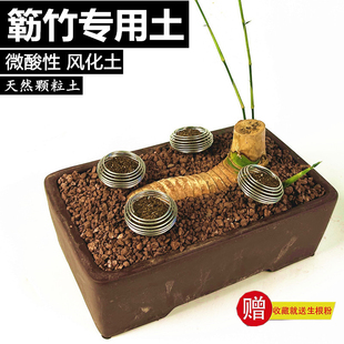 小叶簕竹土勒竹专用土赤玉土风化石风化土颗粒土红土专用肥种植土