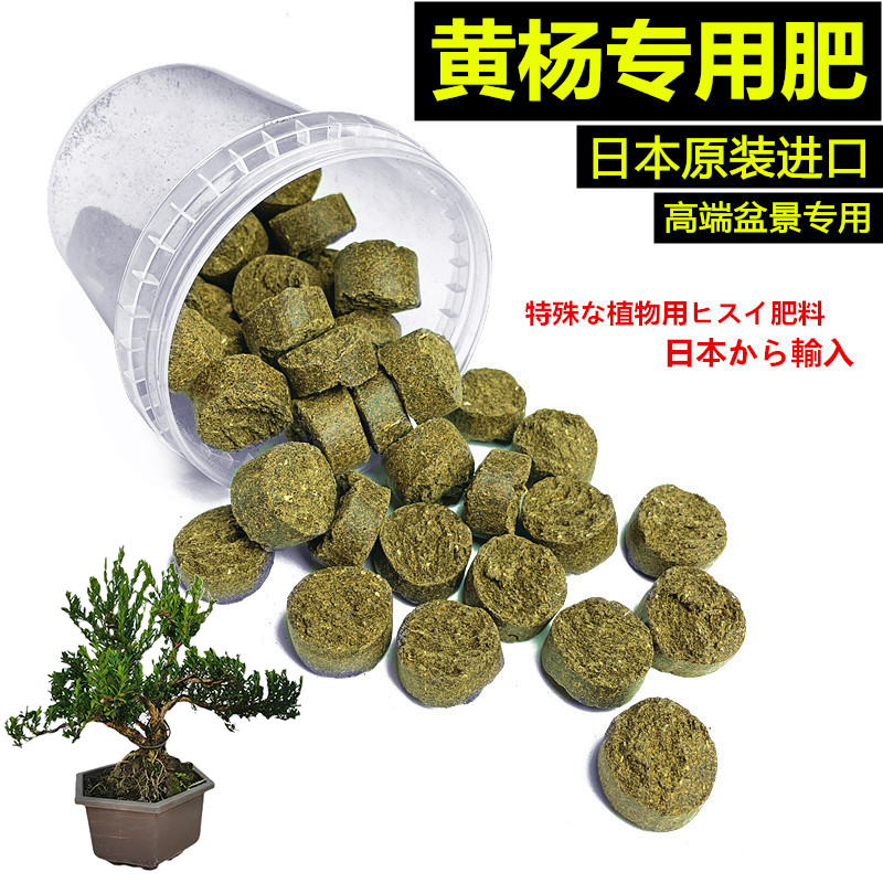 黄杨专用肥日本原装进口玉肥长效有机缓释肥颗粒花肥盆景玉肥盒
