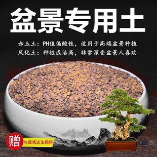 室内盆景通用专用土壤赤玉土风化土风化石颗粒土酸性种植营养土