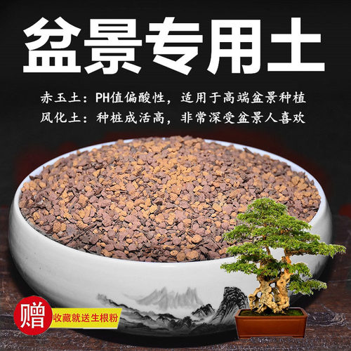 盆景通用专用土赤玉土风化土