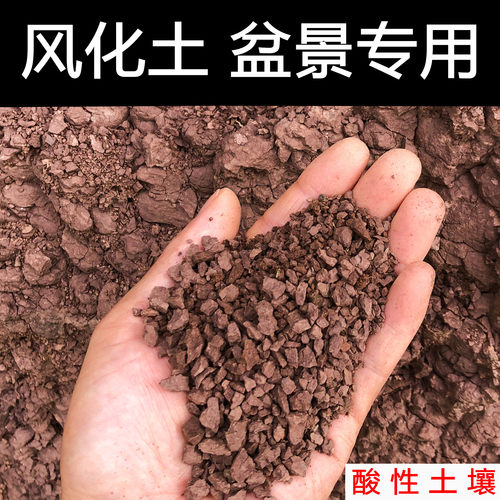 盆景土专用土扦插土营养土
