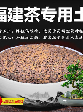 福建茶专用土赤玉土风化土