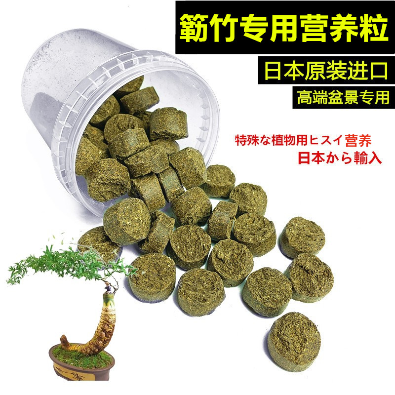小叶簕竹专用营养粒勒竹日本原装进口长效盆景有机缓释颗粒介质料