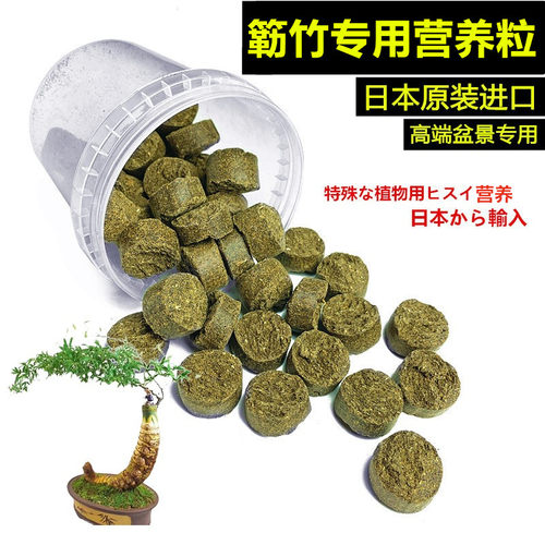 小叶簕竹专用营养粒勒竹日本原装进口长效盆景有机缓释颗粒介质料