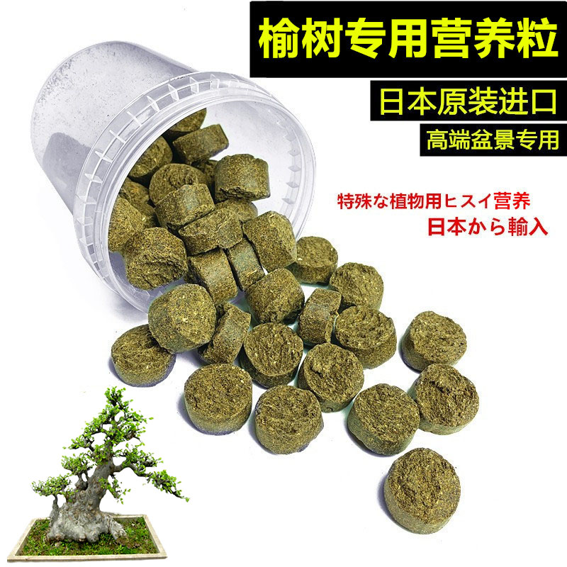 榆树专用营养介质粒日本原装进口长效有机缓释颗粒盆景花卉营养土
