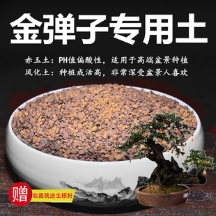 金弹子专用土赤玉土风化土风化石颗粒土酸性土红土专用肥玉肥营养
