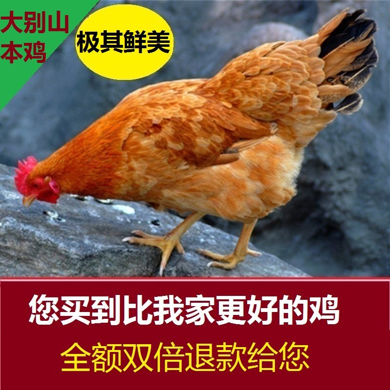 额敏县品质商城app登录【加◆威信Q同号:495