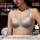 6670大码 内衣女大胸提拉上托镍钛软钢圈文胸缎面镂空性感显瘦胸罩