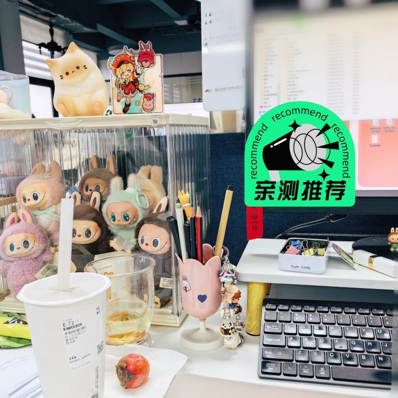 毛绒公仔收纳箱拉布布搪胶盲盒展示架透明防尘棉花娃娃玩具整理盒