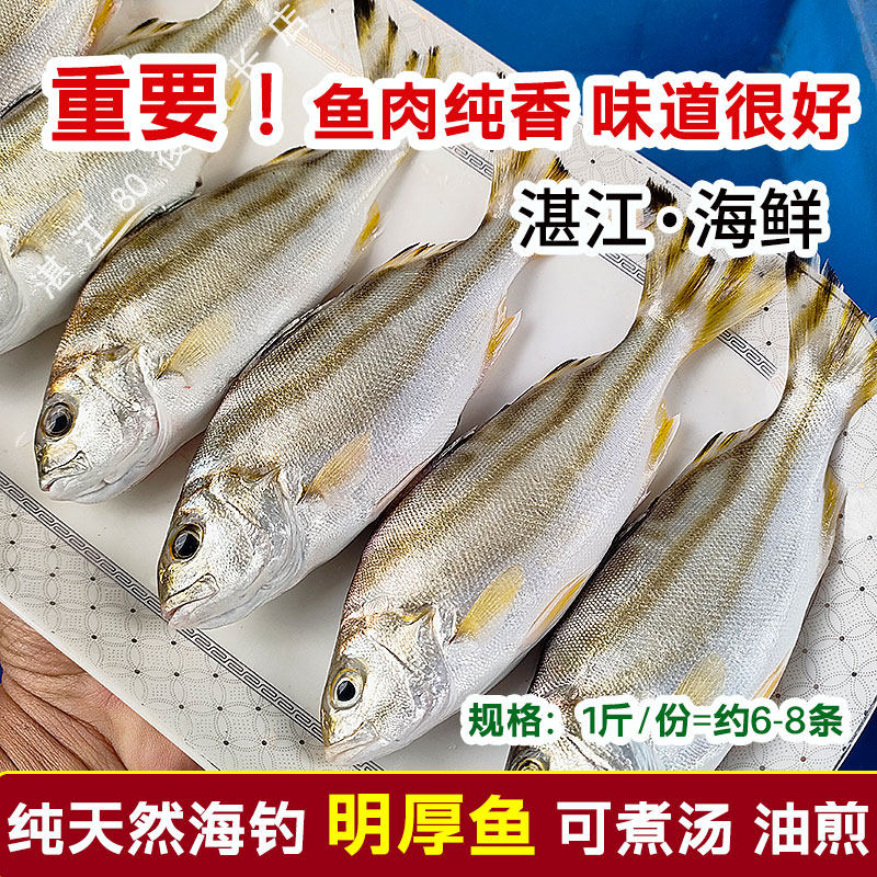 湛江海鲜新鲜沙古头鱼天然甘草鱼茂公鱼深海鱼鲜活现捕新鲜三花鱼,水产肉类/新鲜蔬果/熟食,黄鱼,淘宝优惠券,粉丝福利购,淘宝优惠卷