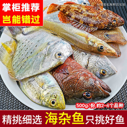 广东外拍10份包邮海杂鱼湛江海鲜水产品新鲜冷冻深海鱼海捕小杂鱼