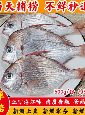 湛江特产海鲜新鲜海鱼天然钓口红腊鱼圆头腊海捕小海鱼生鲜活冻