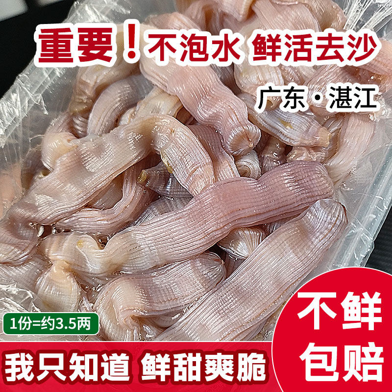 沙虫鲜活 新鲜现挖海肠子天然野生沙虫干 湛江海鲜水产特产活沙虫