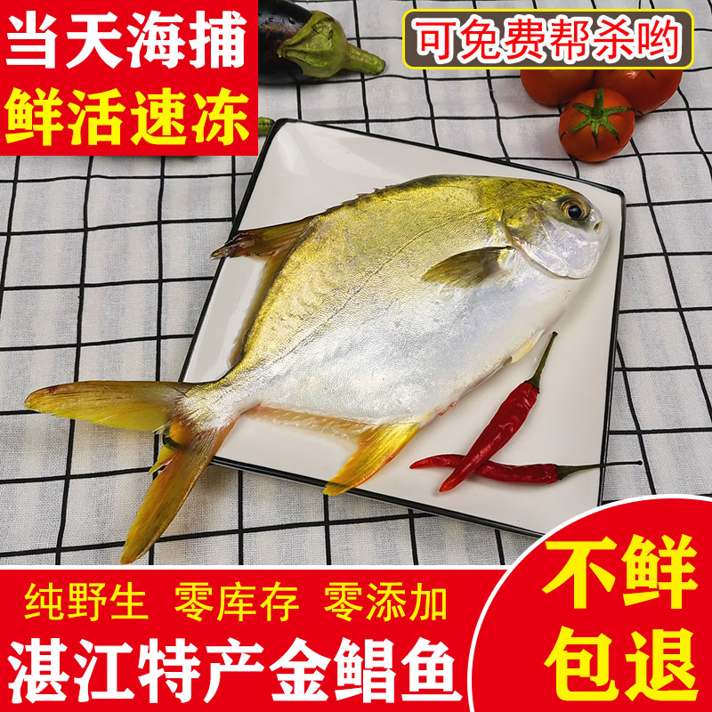 海鱼鲜活 新鲜金鲳鱼仓鱼金枪鱼平鱼昌鱼冷冻海鱼海鲜新鲜深海鱼