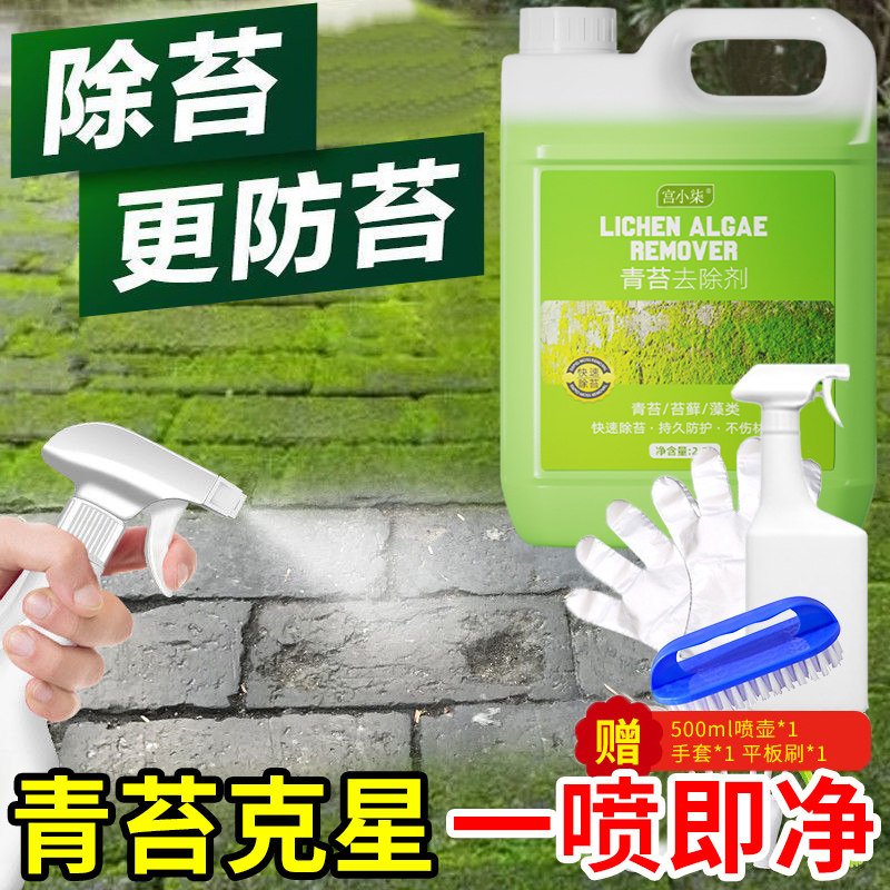 青苔清除剂水泥地面路面水池鱼池墙面房屋顶藓藻类去除绿青苔神器