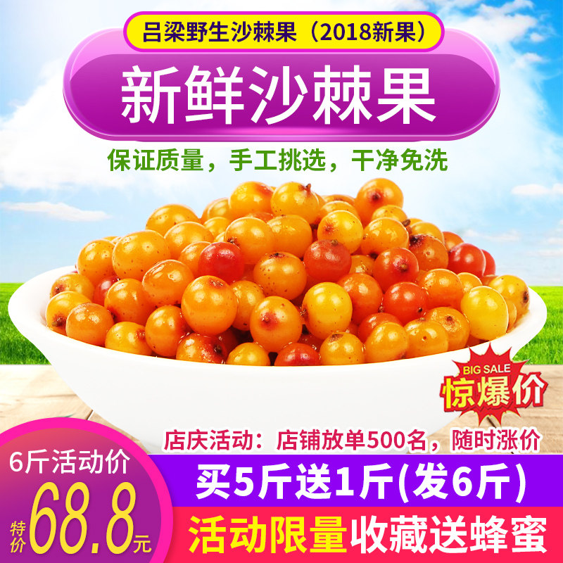 山西特产野生沙棘果新鲜鲜果5斤包邮纯天然精选特级鲜果 酵素榨汁
