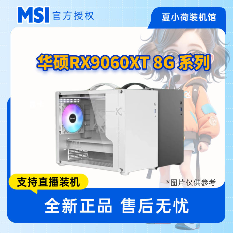 夏小荷/ 华硕RX9060XT  8G雪豹/组装电脑/游戏主机/台式主机