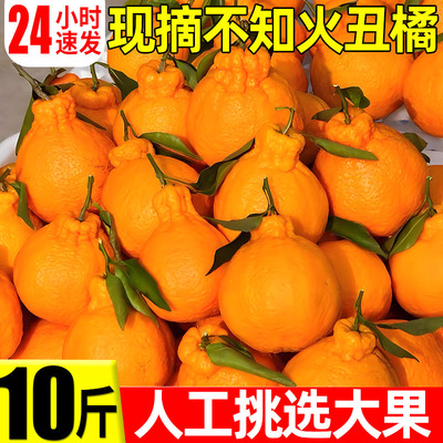 正宗丑橘不知火丑橘新鲜整箱水果当季粑粑丑八怪柑橘耙耙桔子