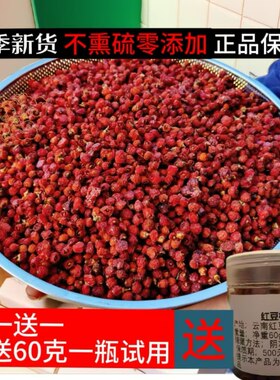 云南红豆杉果子野生干果实含紫杉醇红豆杉干果中药材泡酒当年新果